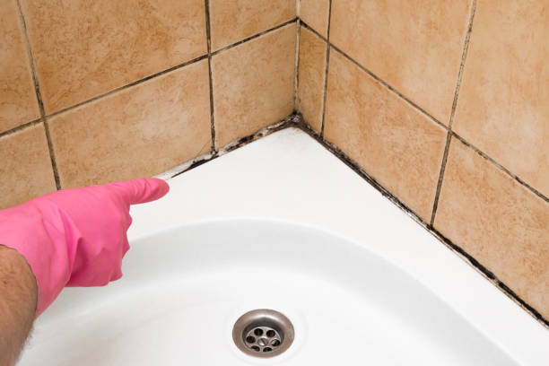 Mold Removal Process in Atoka, OK